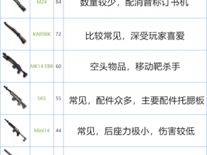 和平精英：蜜獾突击步枪深度解析与属性一览